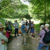 August - Rundwanderung bei Dorfmerkingen